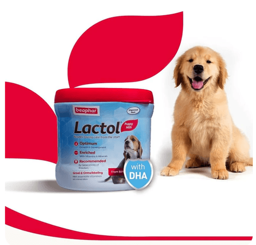 Beaphar lactol puppy milk 250 gr