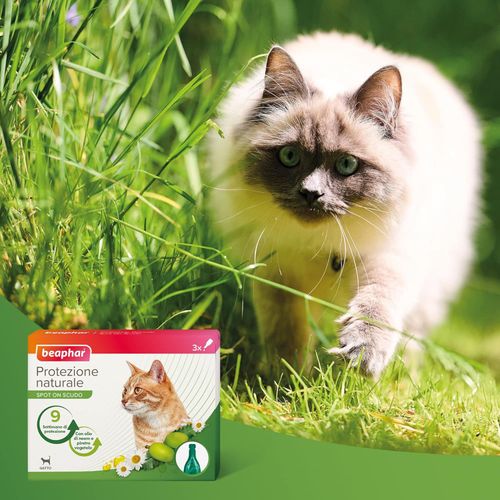 Beaphar protezione naturale spot on gattino