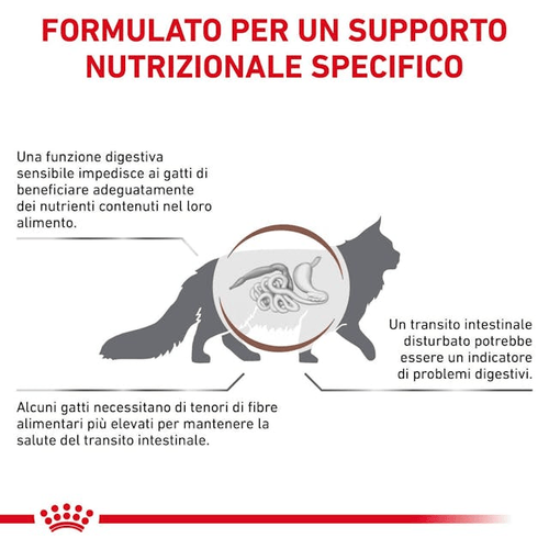 Royal canin gastrointestinal fibre response gatto