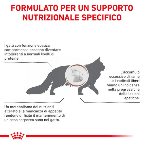 Royal canin hepatic gatto