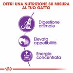 Immagini_1200x1200_Arcaplanet3--1-.jpg