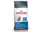 light40-350x250.jpg