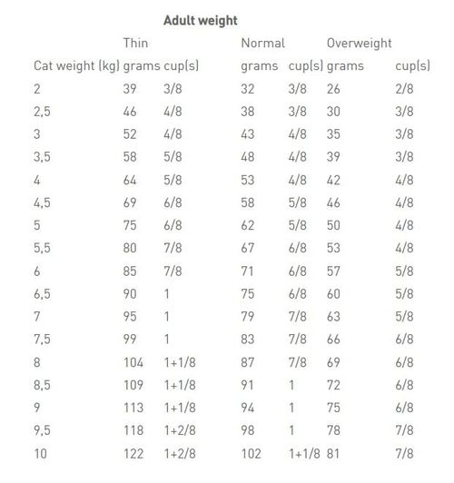 Royal canin renal gatto special