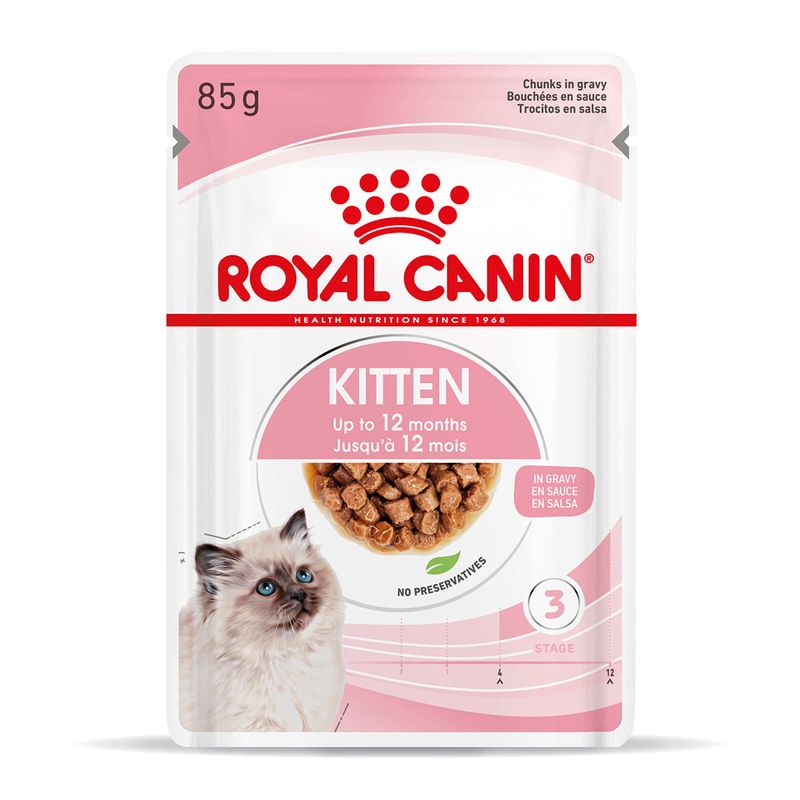 RC-SPT-WET-Kitten-CIG-MV-3-it_IT.jpg
