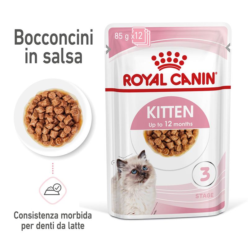 RC-SPT-WET-Kitten-CIG-MV-1-it_IT.jpg