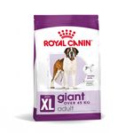 01-RC-SHN-GiantAdult-MV-1-es-ES-pdf-65df5136d30fd.jpg