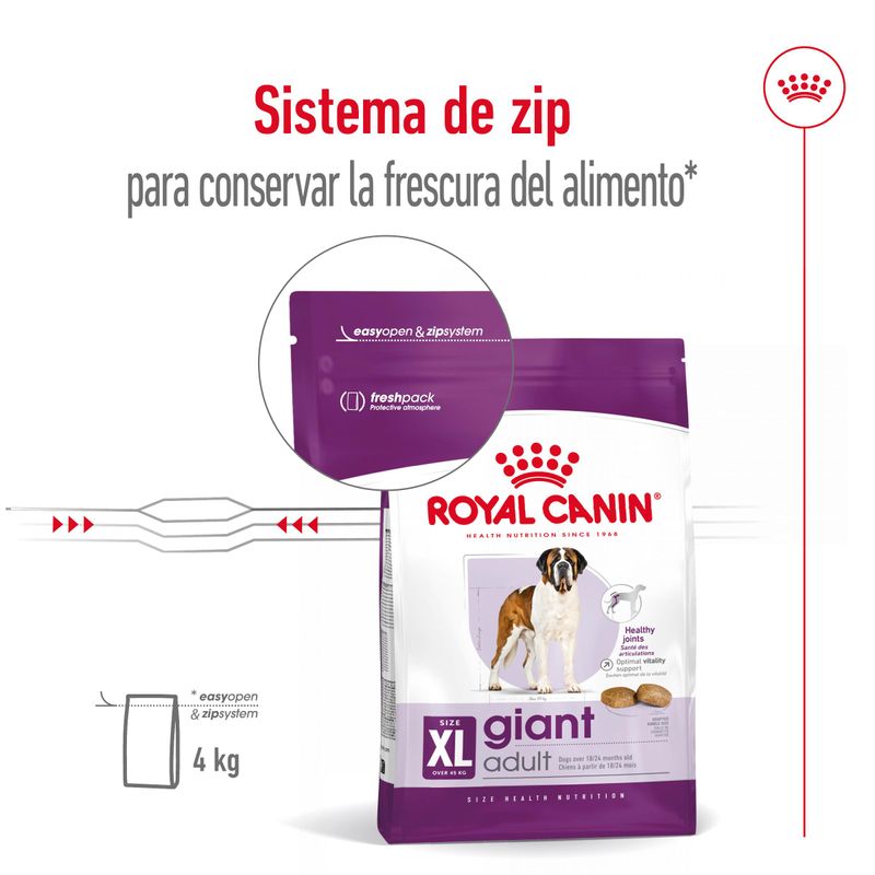 RC-SHN-GiantAdult-CV-12-es-ES-pdf-65df5136ea6b6.jpg