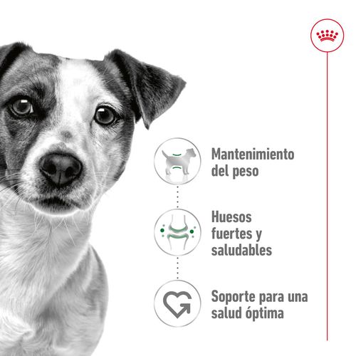 Royal canin mini adult