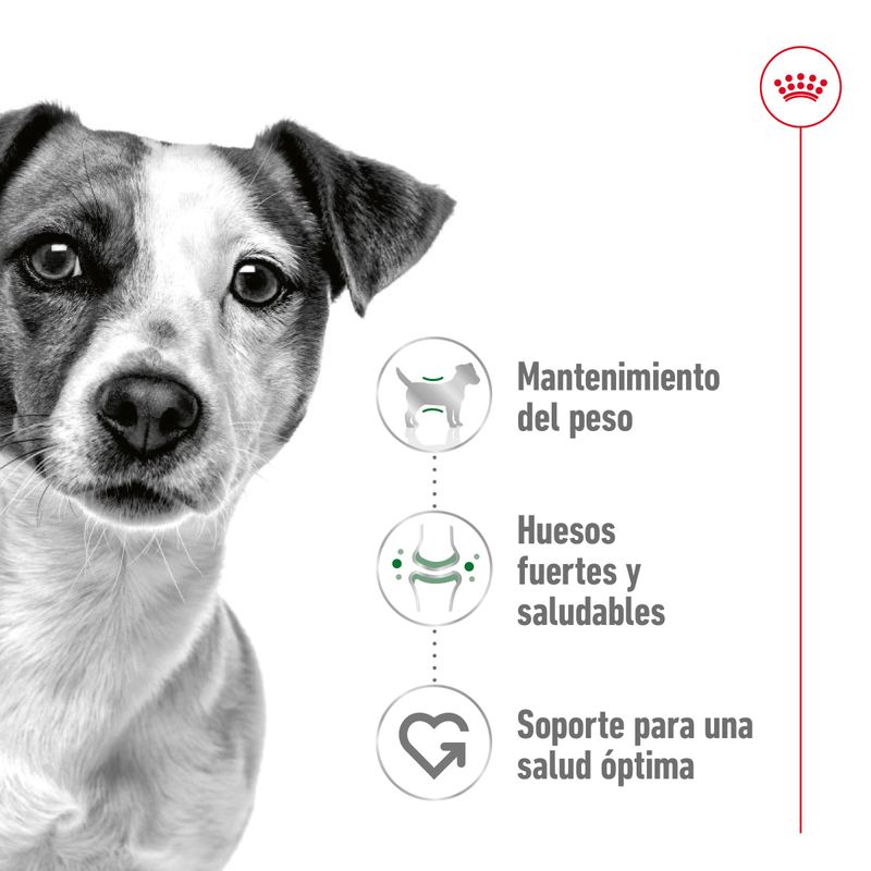 RC-SHN-MiniAdult-CV-1-es-ES-pdf-65df479dc0caa.jpg