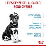 RC-SPT-DRY-MaxiPuppy-CV-2-it_IT.jpg