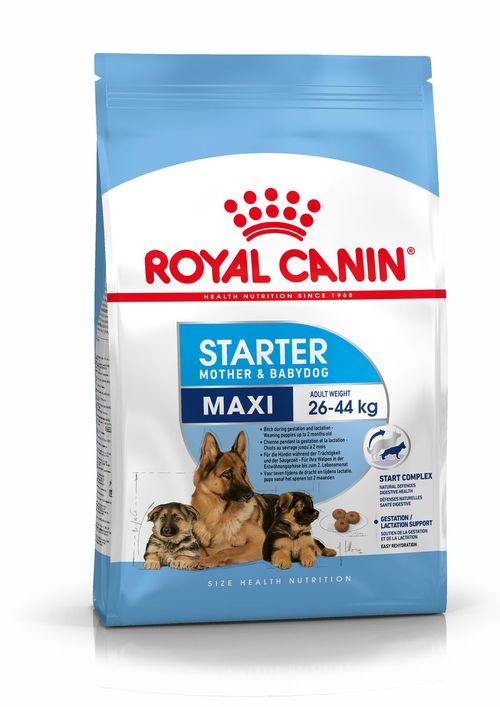 Royal canin maxi starter mother and babydog