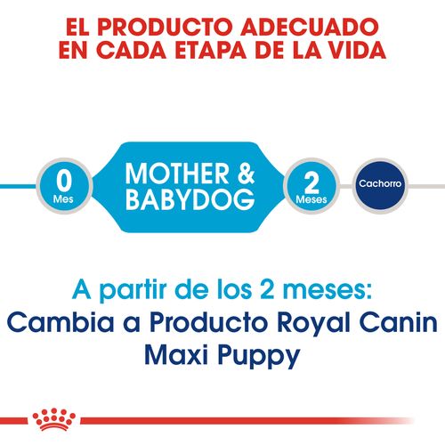 Royal canin maxi starter mother and babydog