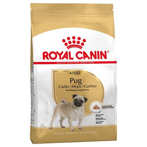 Royal canin pug carlino adult