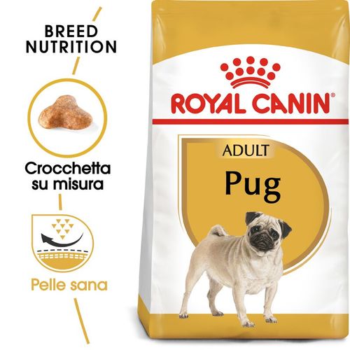 Royal canin pug carlino adult