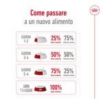 Royal-Canin-Medium-Adult-Alimento-Completo-per-Cani-Adulti-di-Taglia-Media-00003503-6.jpg
