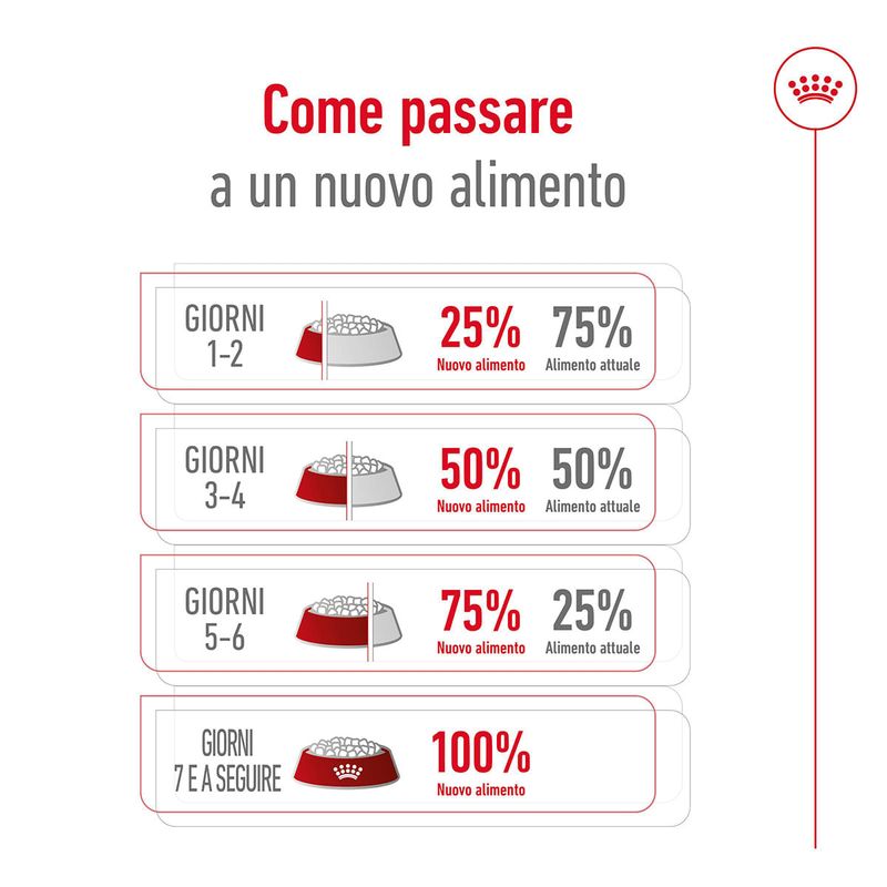 Royal-Canin-Medium-Adult-Alimento-Completo-per-Cani-Adulti-di-Taglia-Media-00003503-6.jpg