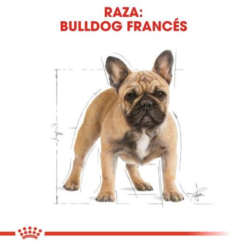 Royal canin bulldog francese