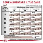 royal-canin-hepatic-dog-alimento-dietetico-completo-per-cani-adulti-10173423--2-.jpg