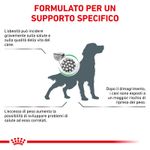rc_vet_dry_dogsatietywm_cv_eretailkit_2_it_it_8.jpg