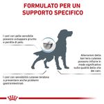 rc_vet_dry_dogskincare_cv_eretailkit_7_it_it_9.jpg
