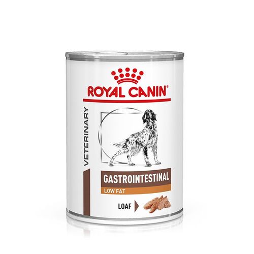Royal canin gastrointestinal low fat cane
