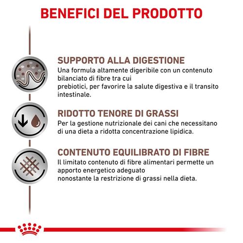Royal canin gastrointestinal low fat cane