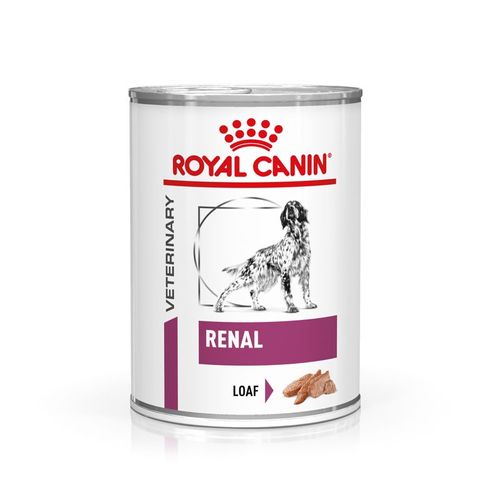 Royal canin renal cane
