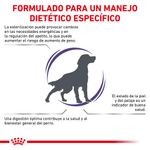 RC-VET-DRY-DogNeutAD-CV-2-es-ES-62fcc4dbc592c_g.jpg