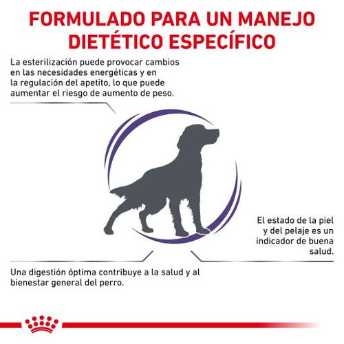 Royal canin neutered medium adult cane