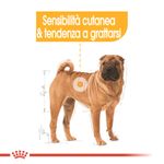 rc_ccn_dermamed_cv_eretailkit_2_it_it_1__1.jpg