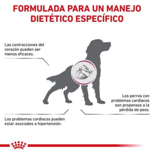 Royal canin cardiac cane