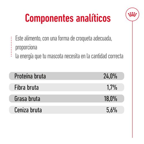 Royal canin x-small adult