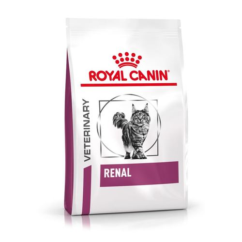 Royal canin renal gatto