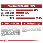 immagini_1200x120026.jpg