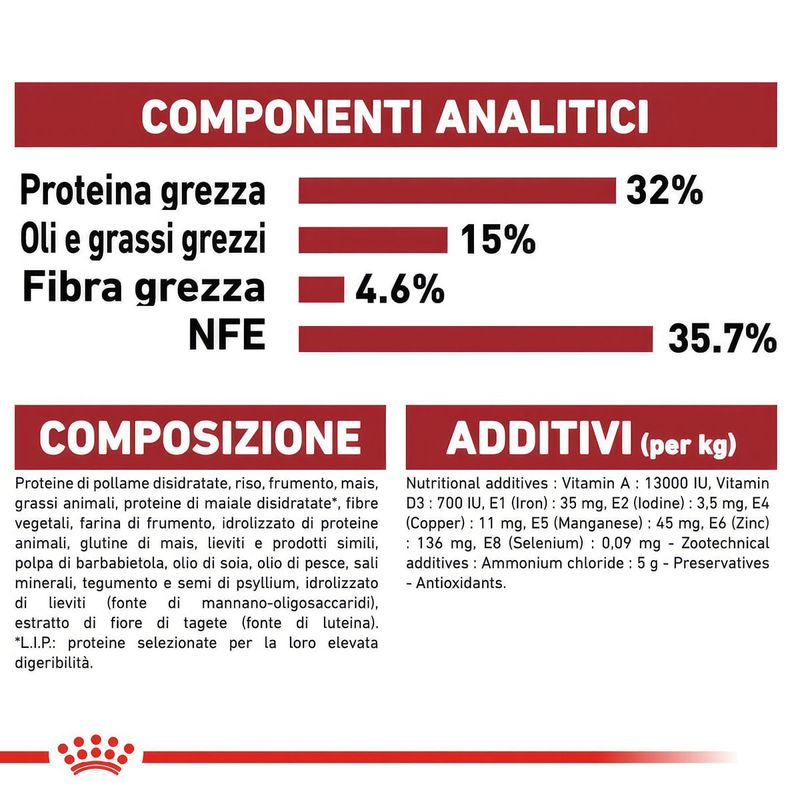 immagini_1200x120026.jpg