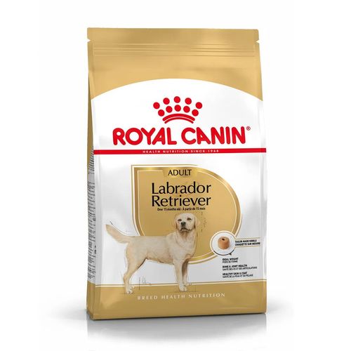 Royal canin adult labrador retriever