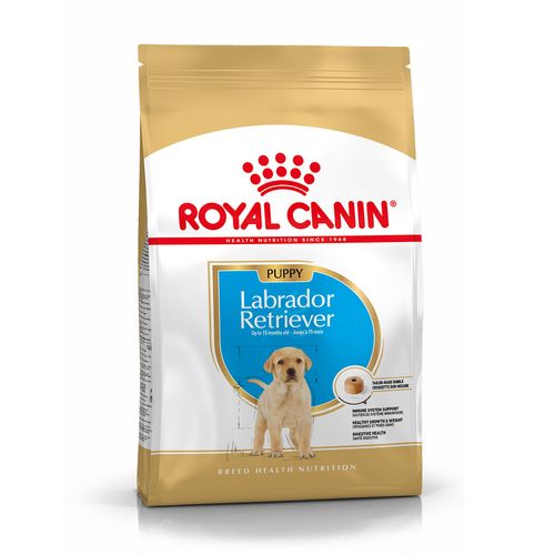 Royal canin labrador junior