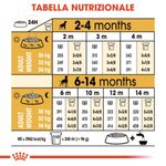royal-canin-puppy-boxer-alimento-completo-per-cuccioli-fino-a-15-mesi-di-eta-00034709--6-.jpg