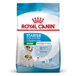 252301_252796_pla_royalcanin_mini_breed_starter_mother_babydog_hs_01_3.jpg