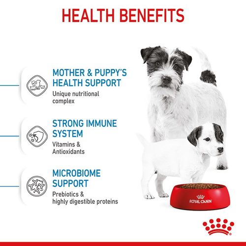 Royal canin mini starter mother and babydog