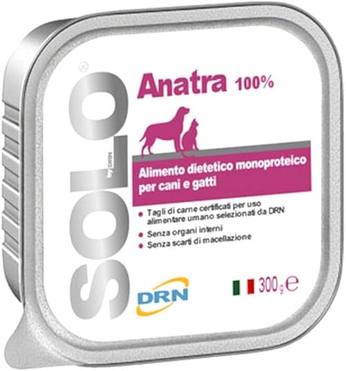 Drn solo anatra