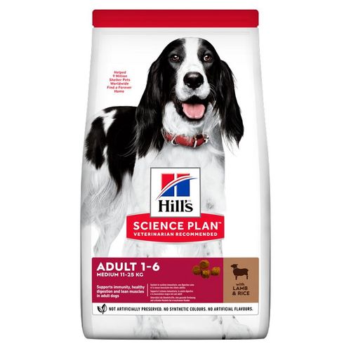 Hill's Science Plan cane adult medium agnello & riso