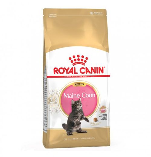 ROYAL CANIN GATTO BREED MAINE COON KITTEN DA 2 KG