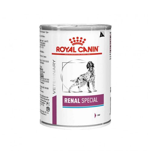 Imagem Principal