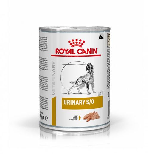 ROYAL CANIN CANE DIET URINARY S/O