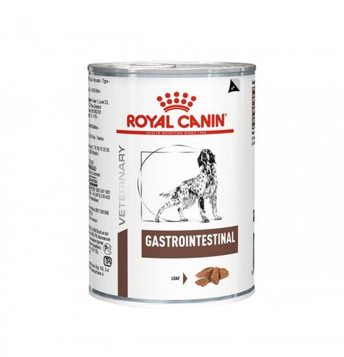 ROYAL CANIN CANE DIET GASTROINTESTINAL