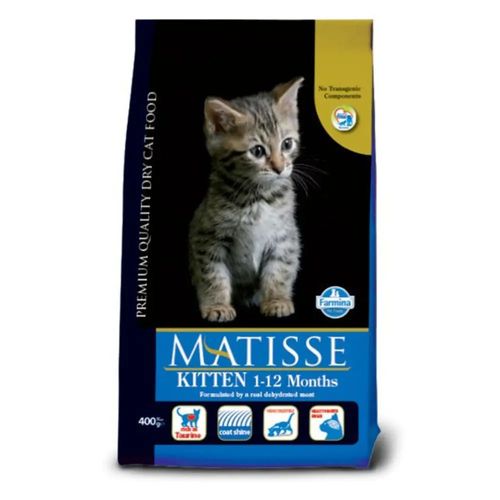 Matisse kitten