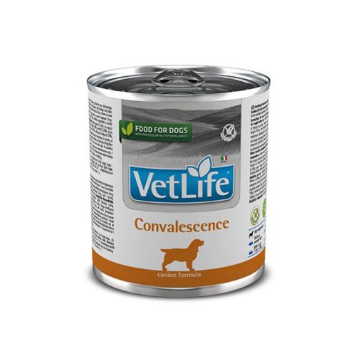 Umido Vet Life Convalescence cane